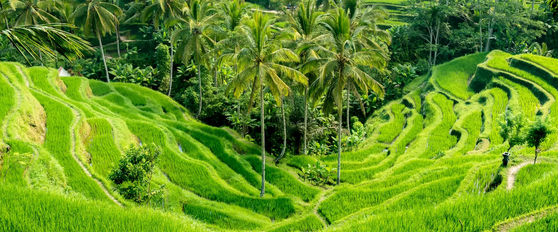 Indonesia_KalenderMei_2026_1920_800_page